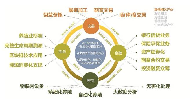 基于區塊鏈技術的中國農畜產品質量安全可追溯體系簡析——兼論品牌管理價值